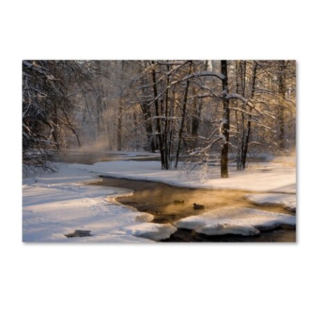 Trademark Fine Art Robin Eriksson 'The First Light' Canvas Art, 16x24 1X03526-C1624GG